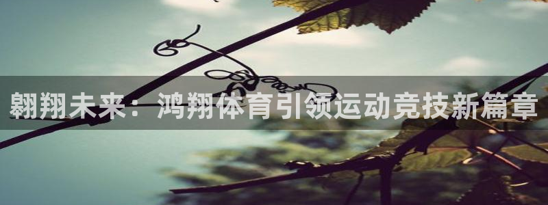 翱翔未来：鸿翔体育引领运动竞技新篇章